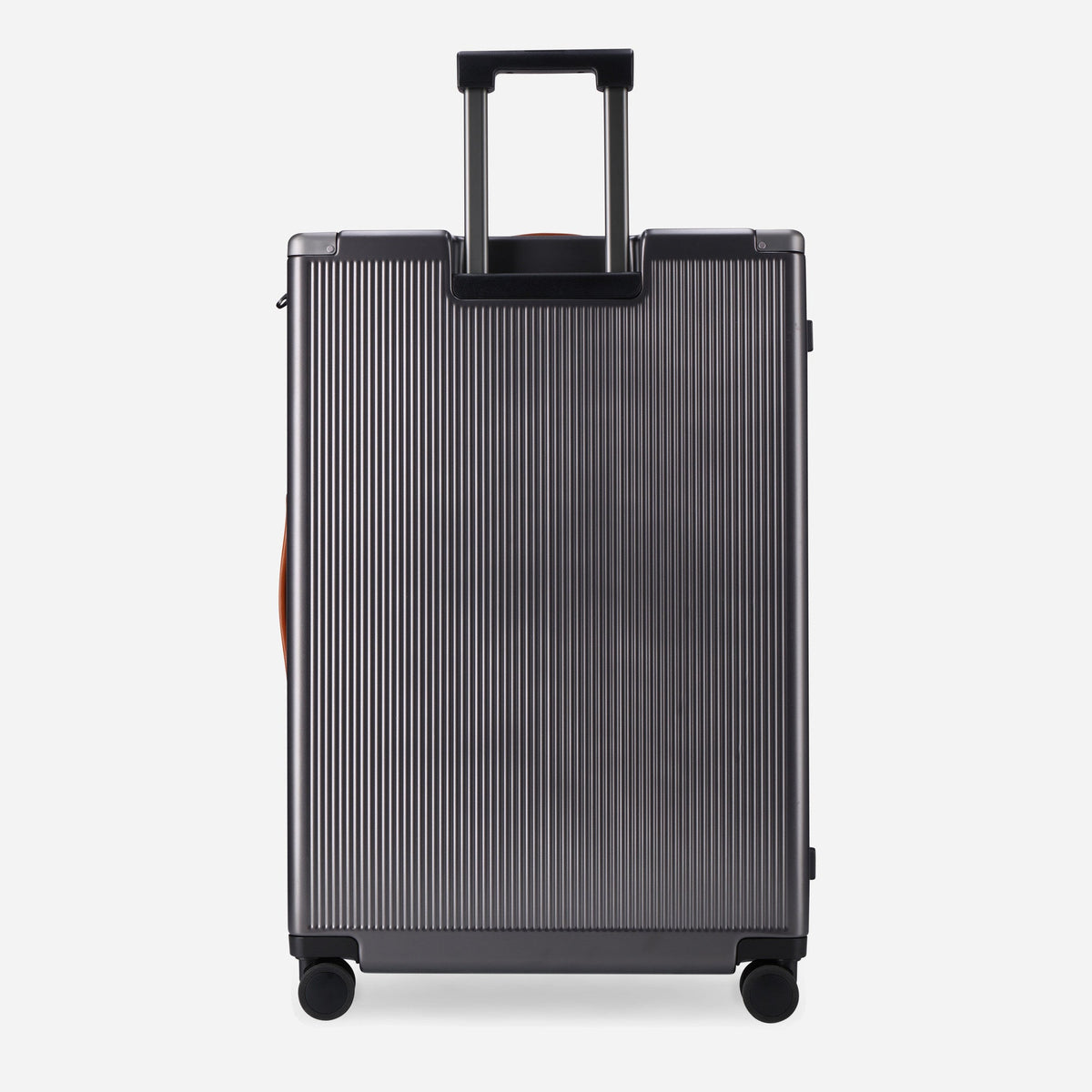 Back of the Colt Large Check-In suitcase with trolley handle and tan side handle